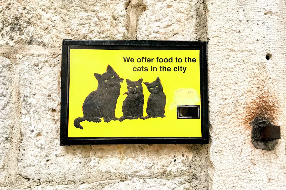 The Cat Museum entrance sign, Kotor Old Town