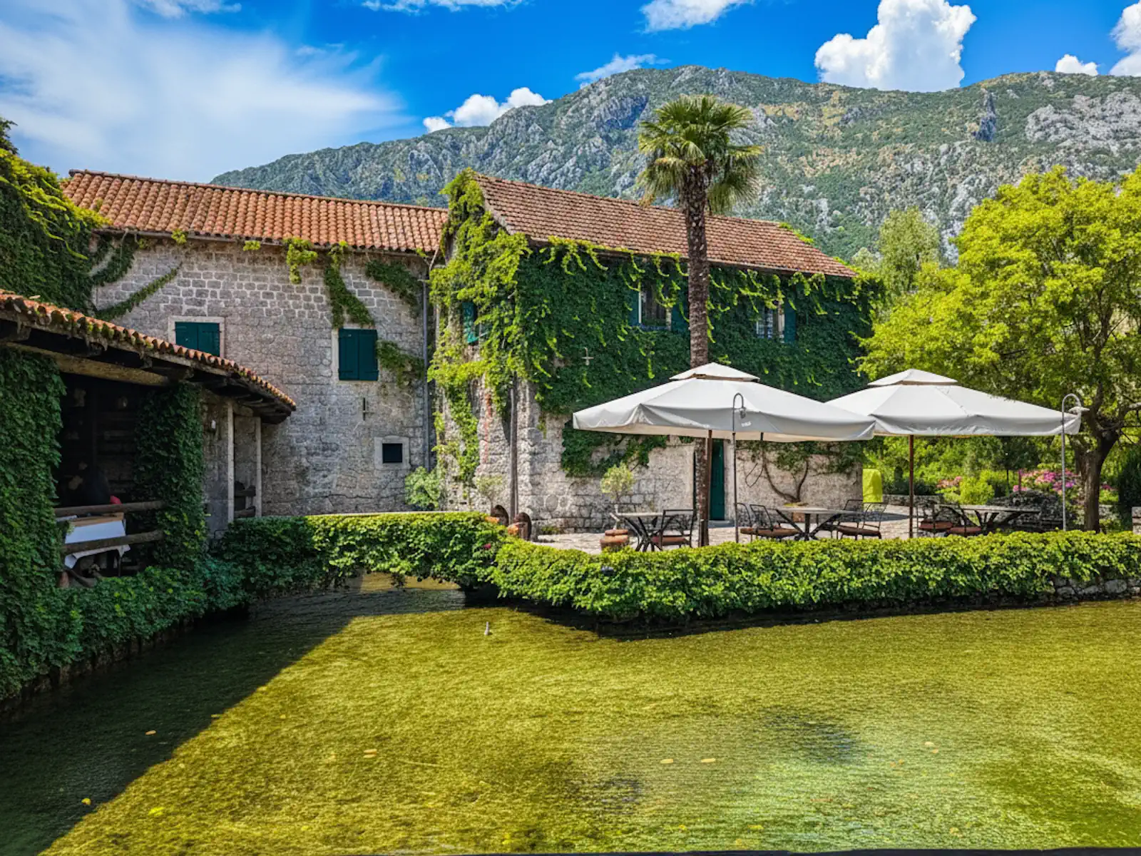 Catovica Mlini Restaurant Morinj