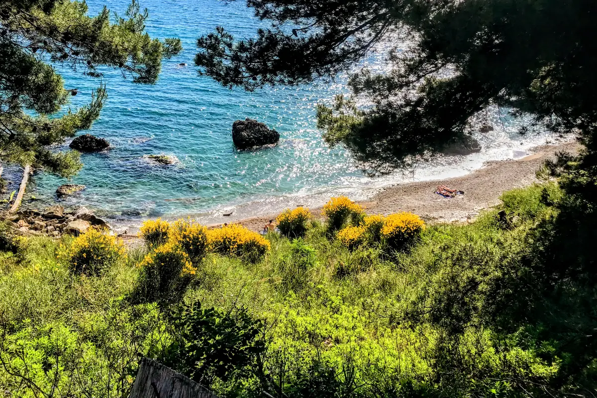 Kadice beach with natural rock pools and clear water surrounded by lush nature