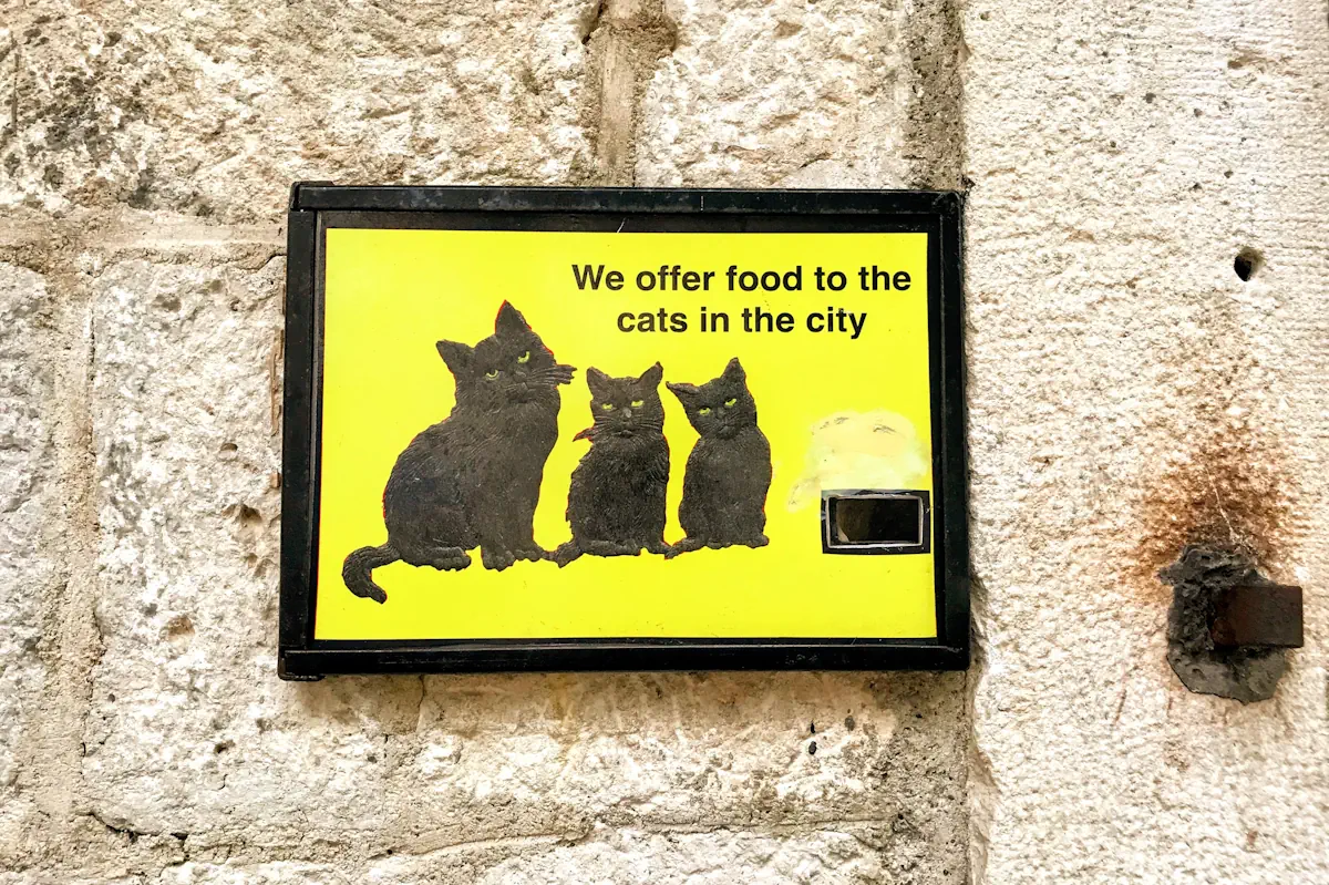 Cat Museum Kotor Sign
