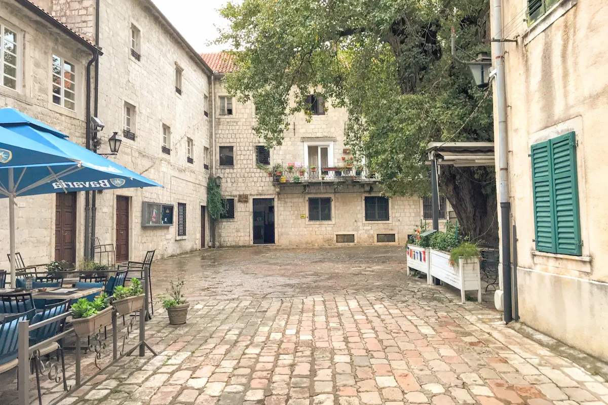 The entrance to the Cat Museum of Kotor on Cinema Square, next to the Church of Saint Michael