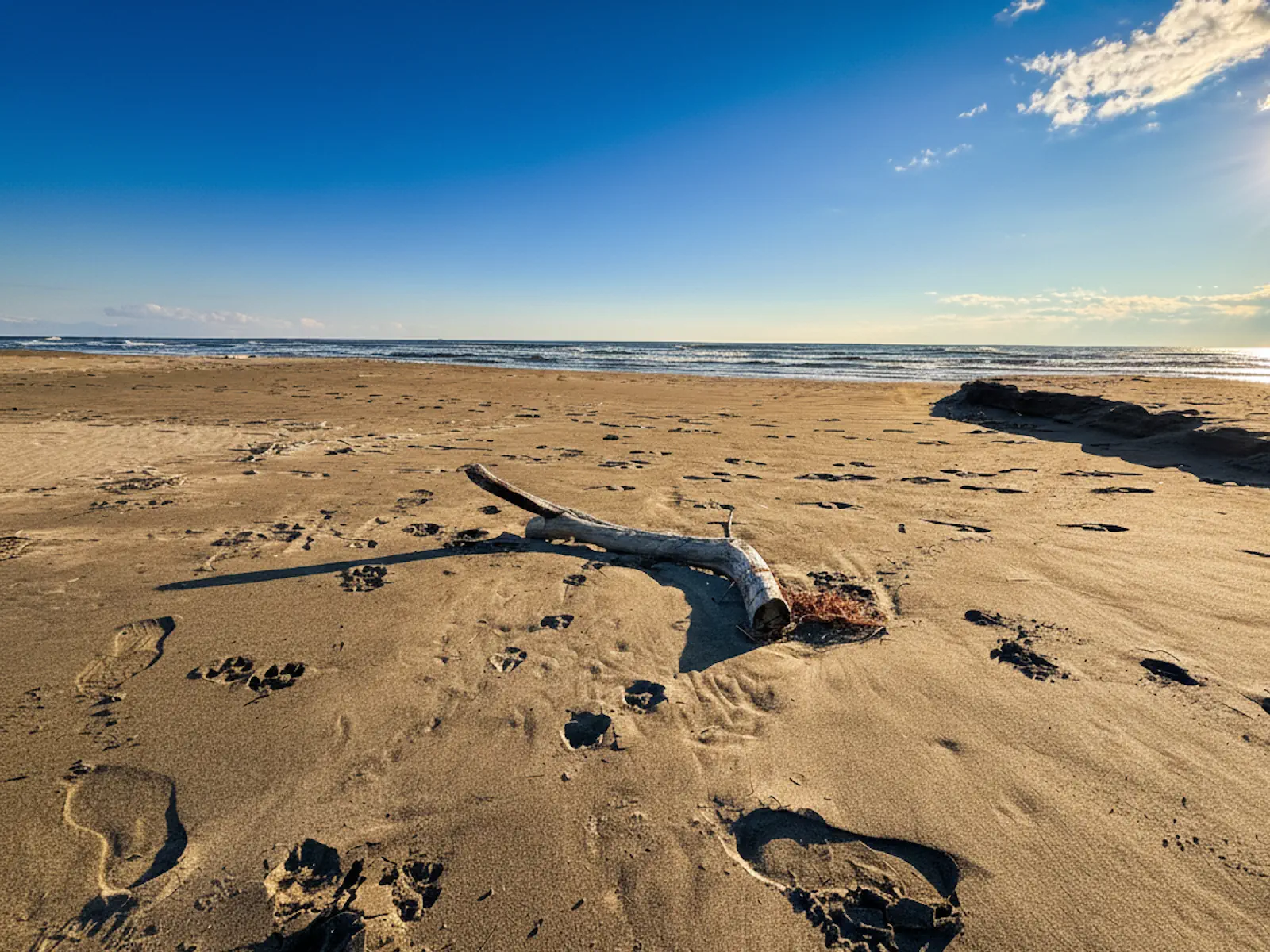 Long Beach near Ulcinj in the off season with driftwood