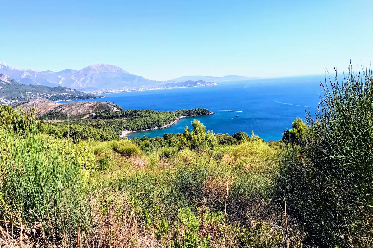 Aerial view of the twin coves of Maljevik Sutomore surrounded by pine trees