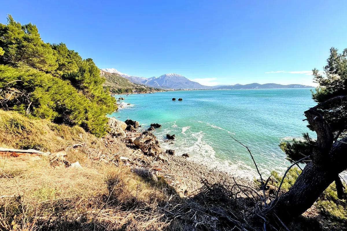 Ratac Beach central southern part, fringed by pine trees