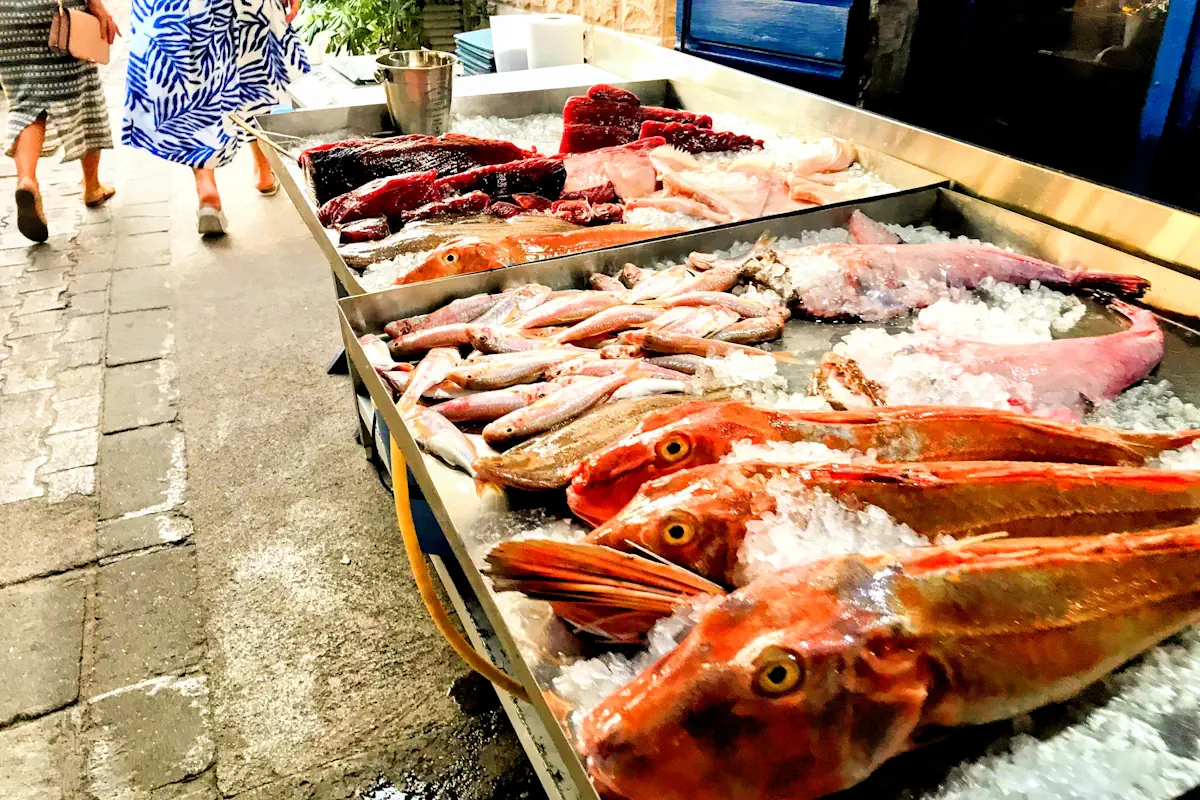 Daily Catch Display Seafood Restaurant Budva