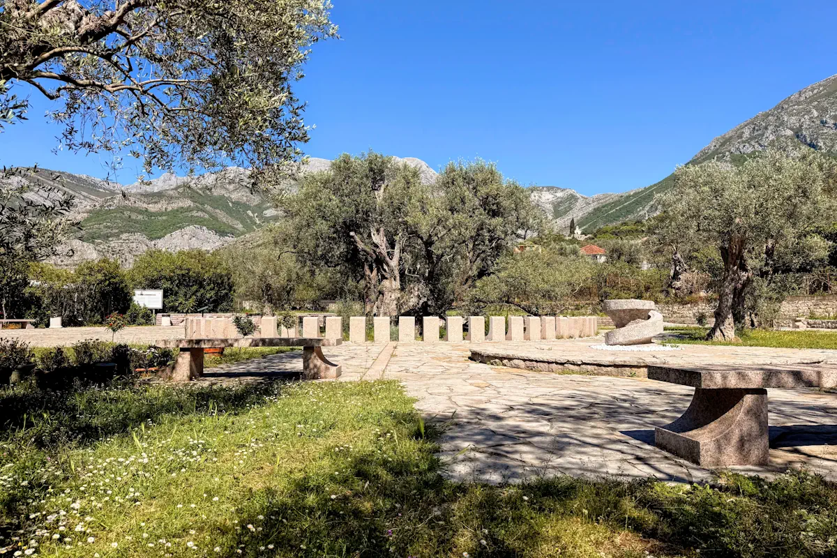 Stara Maslina, the 2250-year-old olive tree in Bar Montenegro