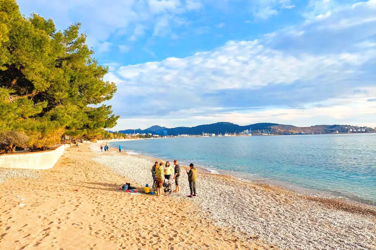 Susanj beach with pine forest backdrop
