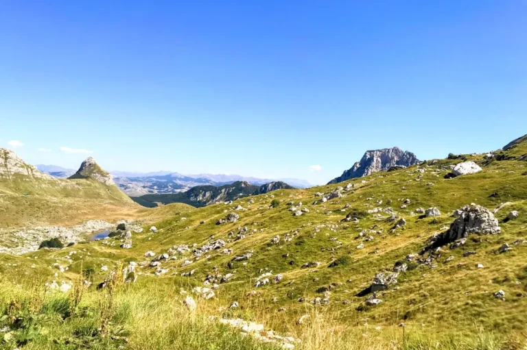 The green alpine meadows of Durmitor National Park, in the North of Montenegro