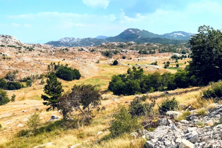 The rolling hills and craggy peaks of the Lovcen National Park, near Cetinje
