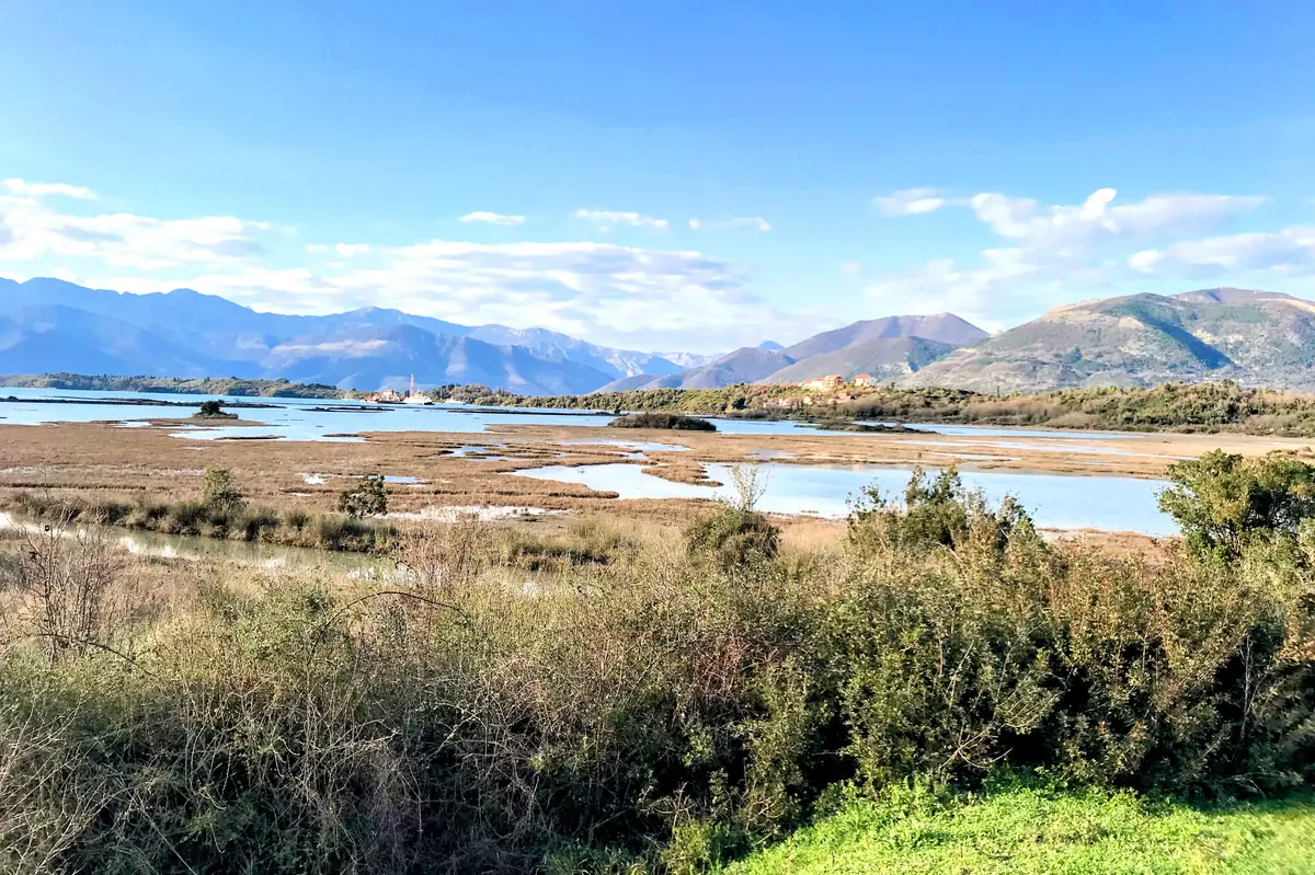 Solla Nature Reserve Coastal Wetlands near Tivat