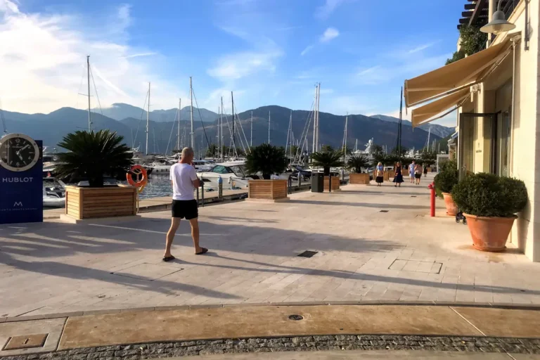 Luxury yachts and palm trees along the Porto Montenegro waterfront in Tivat, a premier destination for shopping and dining in the Bay of Kotor.