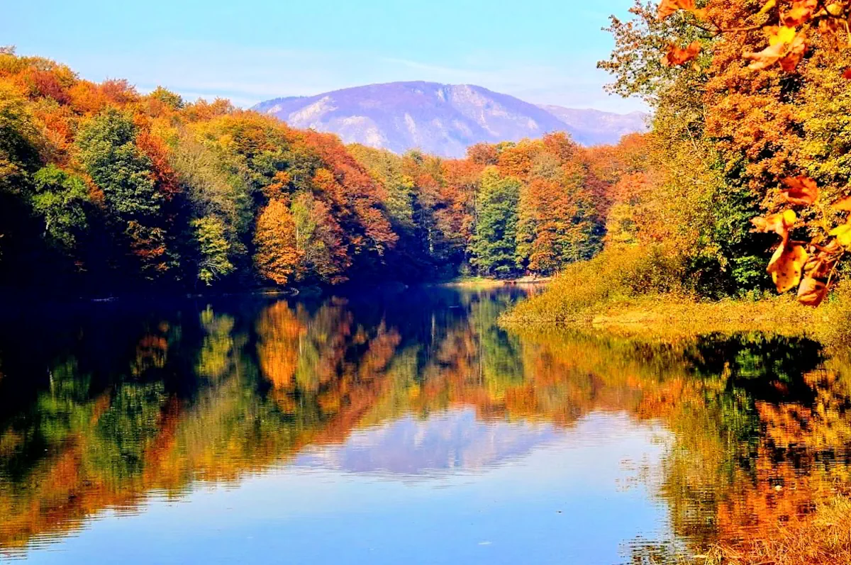 Biogradska Gora Lake in Autumn, Kolasin, Montenegro
