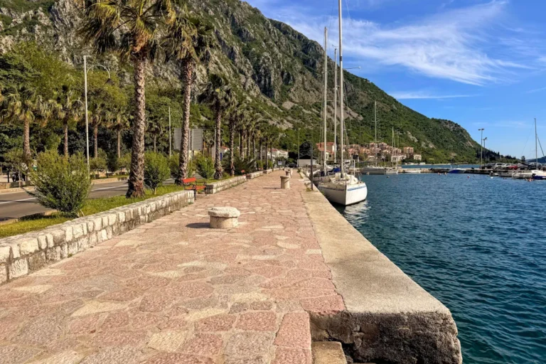 Risan Marina with sailboats and palms