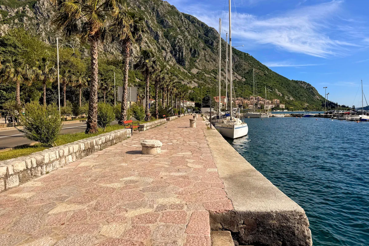 Risan Marina with sailboats and palms